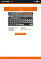 Instalare Actionare electrica geam spate/față + stânga/dreapta PEUGEOT cu propriile mâini - online instrucțiuni pdf