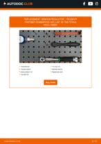 Electric system workshop manual online