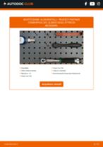Come cambiare Bronzina cuscinetto barra stabilizzatrice PEUGEOT 208 II Schrägheck (UB_, UP_, UW_, UJ_) - manuale online