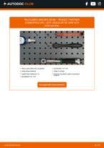 Sistem electric manual de atelier online