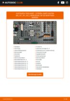 CITROËN JUMPY Box (BS_, BT_, BY_, BZ_) Radlager: Schrittweises Handbuch im PDF-Format zum Wechsel
