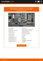 Le guide professionnel de remplacement pour Roulement de roue sur votre PEUGEOT Partner Origin Combispace (G_) 1.6 HDi 75