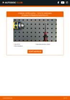 Výmena zadné a predné Stabilizátor LANCIA AURELIA: tutorial pdf