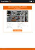 PDF manual sobre mantenimiento Yaris III Furgón (XP13) 1.3 VVTi (NSP130)