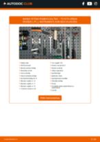 Salona filtrs: profesionāla rokasgrāmata tā nomaiņai tavam Toyota Urban Cruiser XP11 1.8 (ZSP110_)