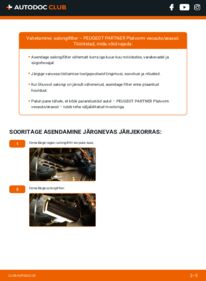 Kuidas välja vahetamist läbi viia: PEUGEOT PARTNER Platform/Chassis 1.9 D Salongifilter