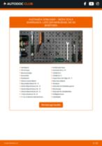 SKODA Scala Schrägheck Domlager: Schrittweises Handbuch im PDF-Format zum Wechsel