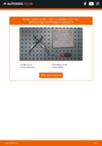 Salona filtrs: profesionāla rokasgrāmata tā nomaiņai tavam SEAT Alhambra 7M 1.9 TDI