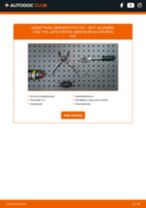 Den professionelle guide til udskiftning af Oliefilter på din SEAT Alhambra 7M 2.0 i