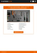 NISSAN X-TRAIL (T30) Bremsscheiben: Schrittweises Handbuch im PDF-Format zum Wechsel