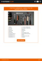 Bytte Viskerarm bak NISSAN CEDRIC: handleiding pdf