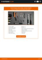 FERODO DDF1383C-1 per PRIMERA (P12) | PDF istruzioni di sostituzione