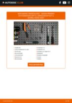 Stap-voor-stap PDF-handleidingen over het veranderen van NISSAN PRIMERA Estate (WP12) Remschijven