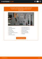 Gebührenfreies Austauschhandbuch für den SKYLINE 2015 im PDF-Format