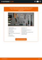 PDF manual sobre mantenimiento KOLEOS