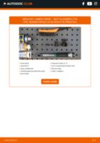 Zamenjavo NOx senzor SEAT ALHAMBRA: brezplačen pdf