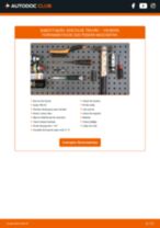 PDF manual sobre manutenção de BORA