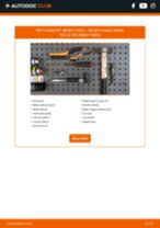 Kamiq (NW4) 1.6 SRE workshop manual online