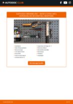 Werkstatthandbuch für E-CITIGO (NE1) e iV online