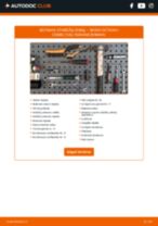 Instrukcijos PDF apie Octavia I Combi (1U5) 1.9 TDI 4x4 priežiūrą