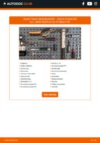 Illustrerede manualer for SKODA ROOMSTER (5J) rutine-vedligeholdelse