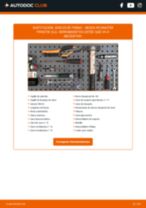 Manual de taller para ROOMSTER Praktik (5J) 1.4 en línea
