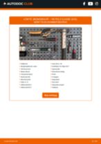 Byta Bromsskivor belagd och lackerad VW POLO CLASSIC (6KV2): guide pdf