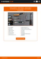 Manuel d'utilisation Fabia II 3/5 portes (542) 1.9 TDI pdf