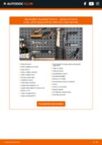 Instalare Rulment spate și față SKODA cu propriile mâini - online instrucțiuni pdf