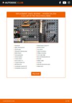 Free PDF BORA 2015 replacement manual
