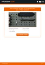 RENAULT Twingo II Kasten / Schrägheck (CNO_) Sensore massa aria sostituzione: consigli e suggerimenti