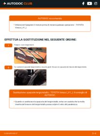 Sostituzione di Tergicristalli Venza AV10 3.5 4WD (GGV15_)