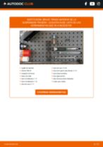 Cómo cambiar y ajustar Flector de transmisión LEXUS RX: tutorial pdf