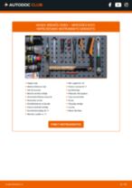 Tiešsaistes rokasgrāmata, kā mainīties Pneimo piekares kompresors uz Renault 19 I