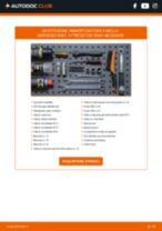 Citroen C1 Prima serie Rullo Tendicinghia sostituzione: tutorial PDF passo-passo