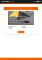Den professionelle guide til udskiftning af Bremseskiver på din Citroen C4 1 Grand Picasso 2.0 i 16V