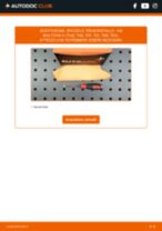 Sostituzione Tergicristalli anteriore e posteriore VW MULTIVAN: tutorial PDF passo-passo