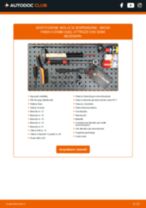 PDF manuale sulla manutenzione Fabia II Combi (545) 1.9 TDI