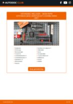 Handleiding PDF over onderhoud van Rapid Hatchback (NH3) 1.4 TDI