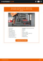 PDF manual pentru întreținere Rapid Hatchback (NH3) 1.4 TDI