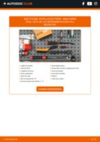 PDF manual sobre mantenimiento Cabrio