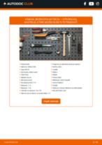 Podrobný PDF tutorial k výmene CITROËN DS3 Brzdový kotouč