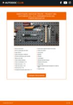 Consulta os nossos tutoriais informativos em PDF para a manutenção e reparações de PEUGEOT 208