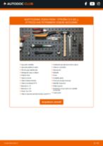RIDEX 82B0015 per C3 II (SC_) | PDF istruzioni di sostituzione