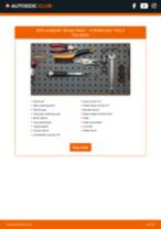 Replacing Brake pad kit CITROËN DS3: free pdf