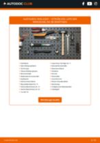 Ausführliche Anleitung für den CITROËN DS3 20150 im PDF-Format