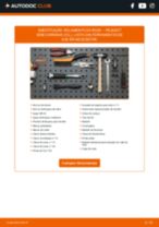 PDF manual sobre manutenção de 2008 Carrinha (CU_) 1.2 THP 110 / PureTech 110