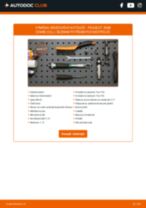 Manuální PDF pro údržbu 2008 Combi (CU_) 1.2 THP 110 / PureTech 110