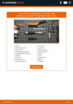 Käsiraamat PDF 2008 Kombi (CU_) 1.2 THP 110 / PureTech 110 hoolduse kohta
