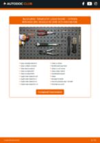 Instalare Termostat motor CITROËN cu propriile mâini - online instrucțiuni pdf